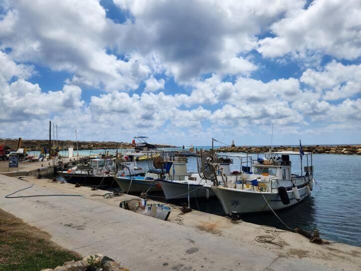 Serenity Corner Paphos ภายนอก รูปภาพ